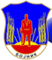 Општина Бојник